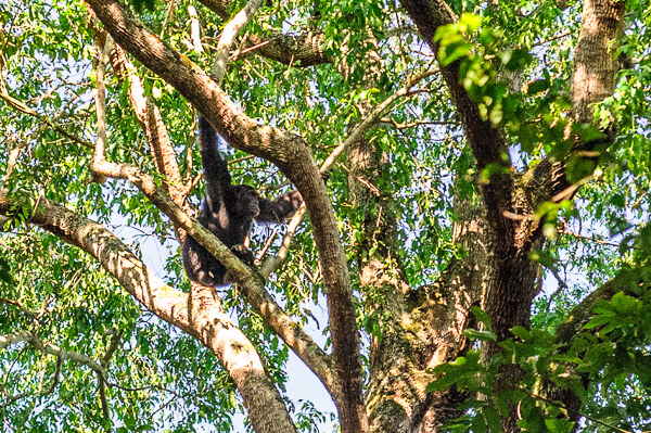Uganda