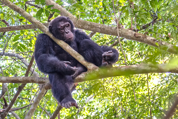Uganda